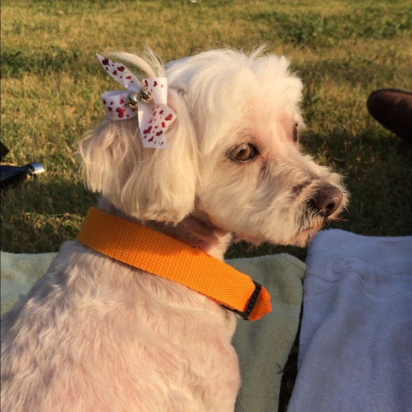 About Wildernessmags! ππ§‘π - Picture 4 of 5